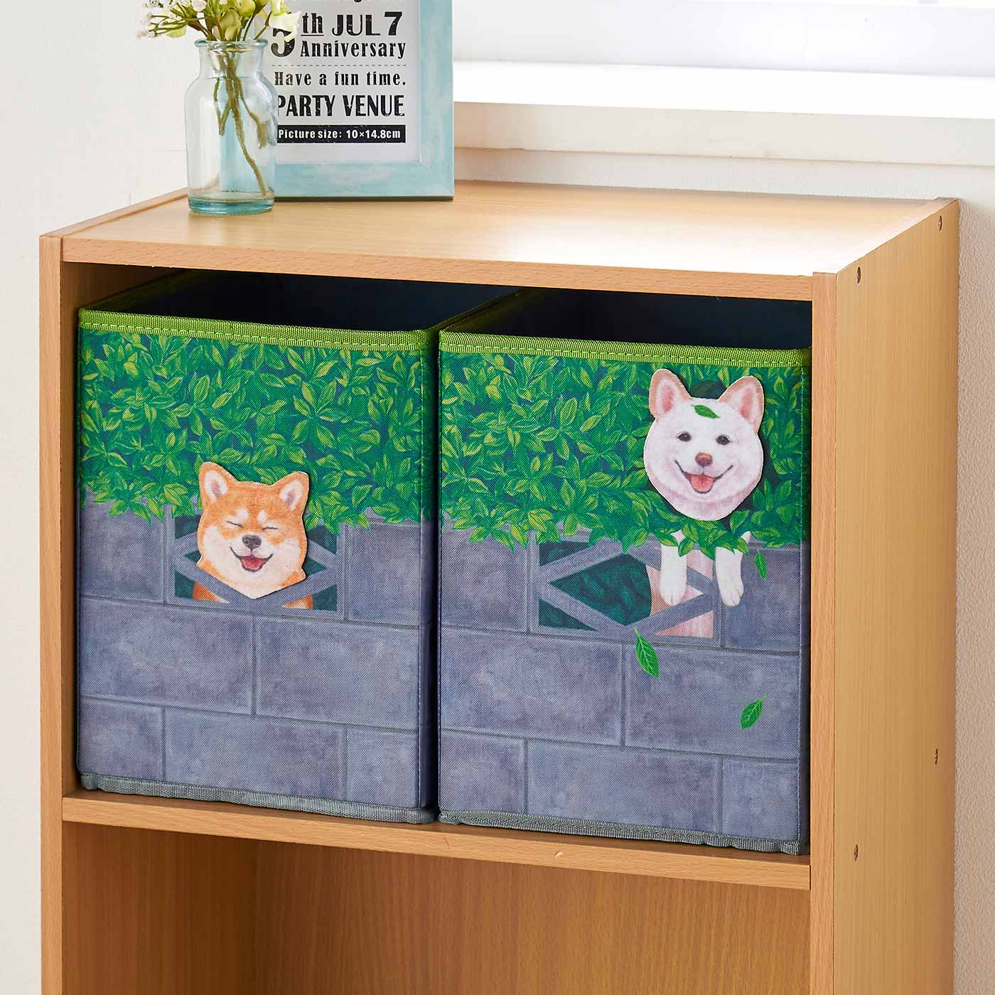 192--⭐販売済品❤️デザインサンプル⭐柴犬柄⭐棚BOX付3段ラック❤️ 壁からひょっこり！ 好奇心旺盛な 柴犬収納ボックス – 柴犬ライフ ストア