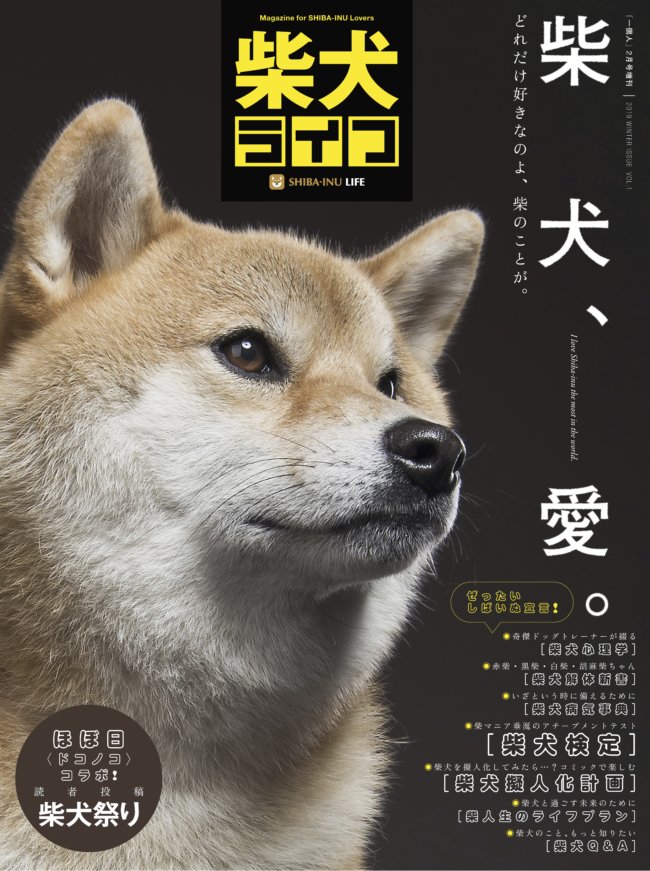 柴犬ライフ 春号2020』柴犬、愛〜どれだけ好きなのよ、柴のことが