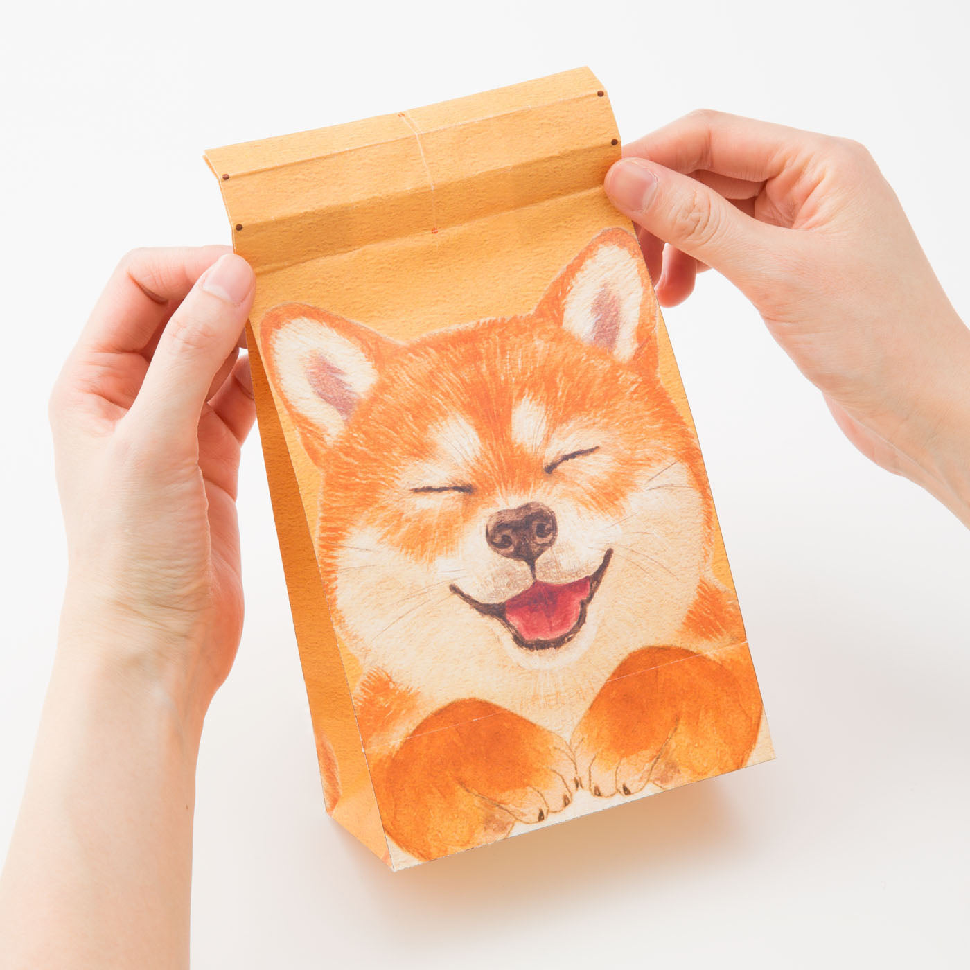 ハンドメイドオーダーページ＊泳ぐ柴犬パネル(残り3枚) ハンドメイド