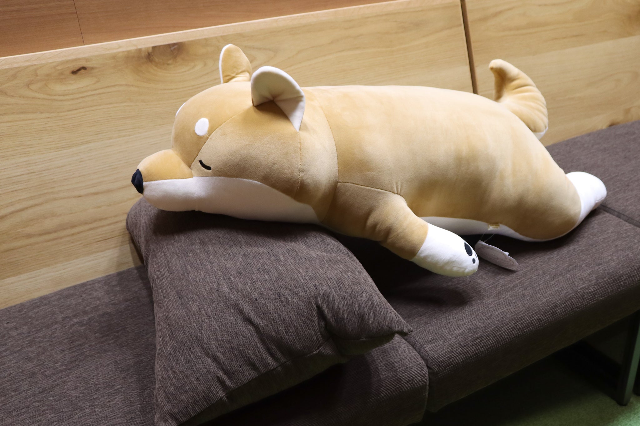 数量限定で再販売開始＞【柴犬】どでかぬいぐるみ – 柴犬ライフ ストア