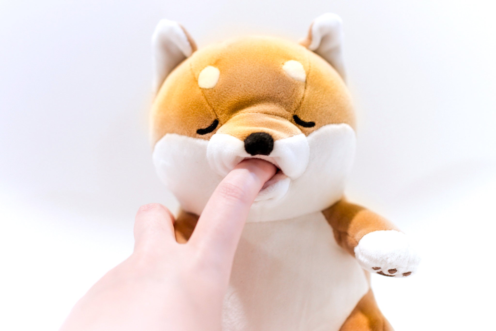 柴犬 ぬいぐるみ 甘噛みハムハム 甘噛みハムハム – 柴犬ライフ ストア